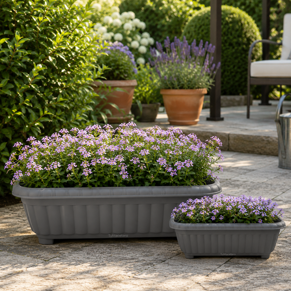 Jardinera New Gris