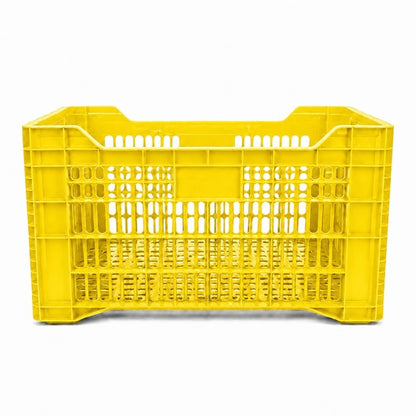 Caja Agrícola Torito Amarilla