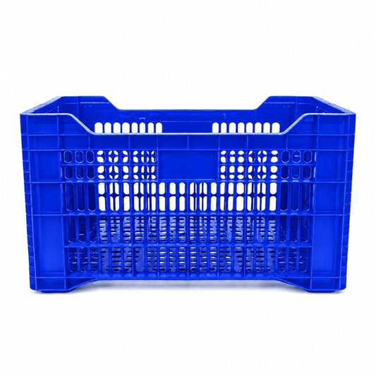 Caja Agrícola Torito Azul