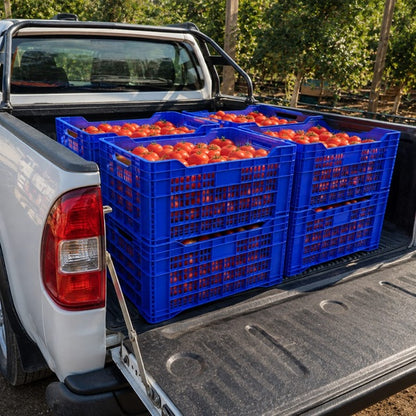 Caja Agrícola Torito Azul