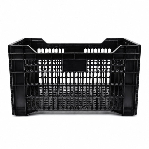 Caja Agrícola Torito Negra