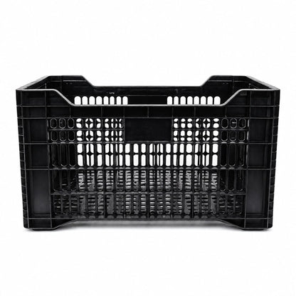 Caja Agrícola Torito Negra