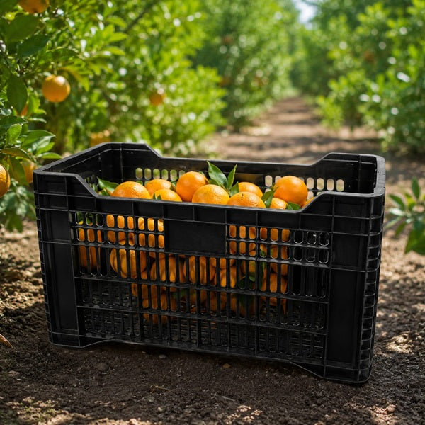 Caja Agrícola Torito Negra