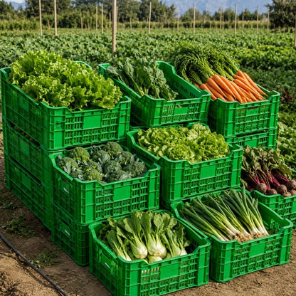 Caja Agrícola Torito Verde Lima