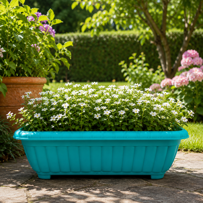 Jardinera New Calipso