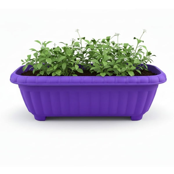 Jardinera New Morada