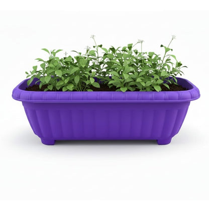 Jardinera New Morada