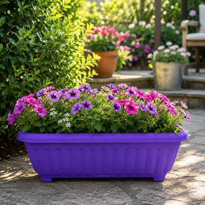 Jardinera New Morada