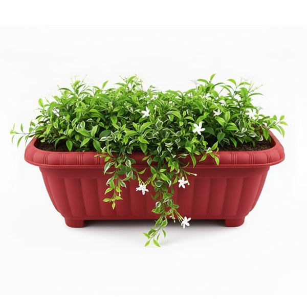 Jardinera New Roja