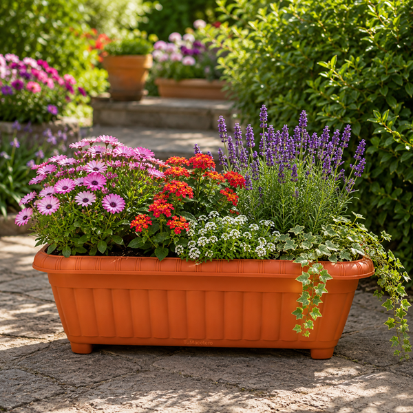 Jardinera New Terracota