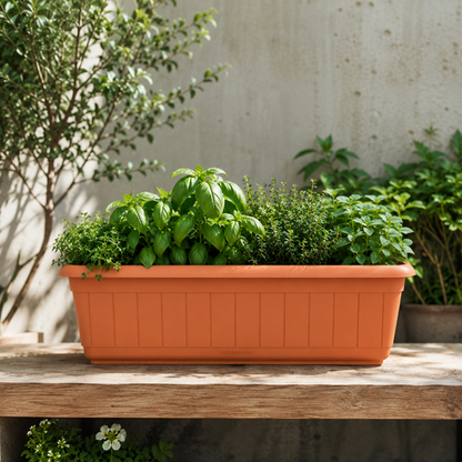 Jardinera Rectangular 16cm