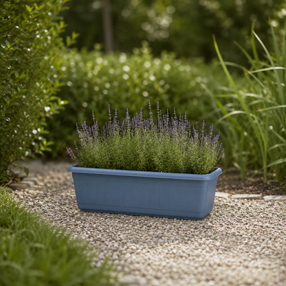 Jardinera Rectangular 16cm