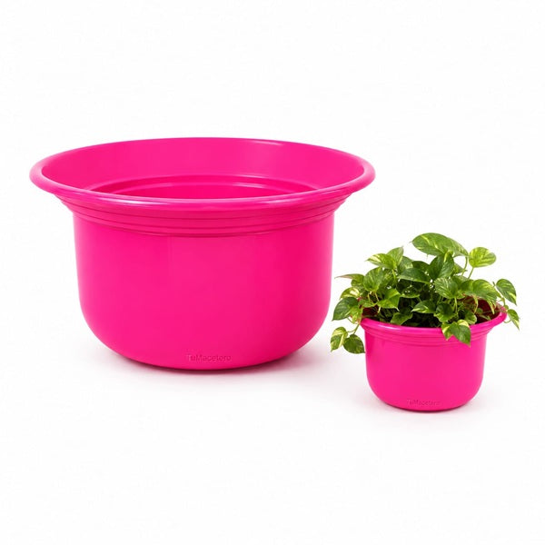 Macetero Redondo A Rosado