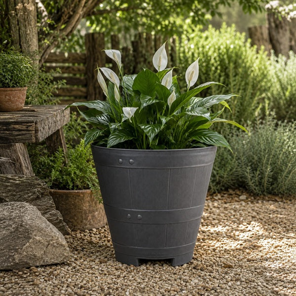 Macetero Barril 23 cm