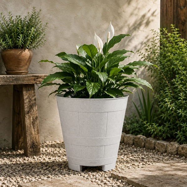 Macetero Barril 23 cm