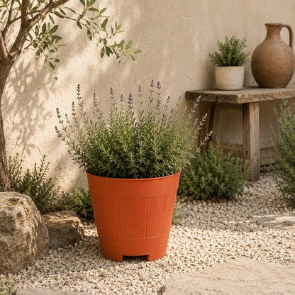 Macetero Barril 23 cm