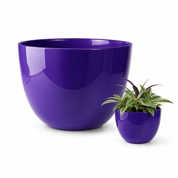 Macetero Cuenco Morado