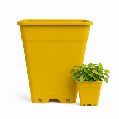 Macetero Plástico Rectangular Indoor 14 cm