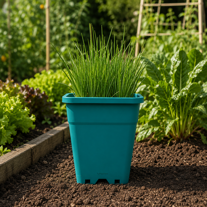 Macetero Plástico Rectangular Indoor 14 cm