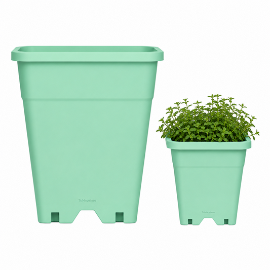 Macetero Plástico Rectangular Indoor 24 cm