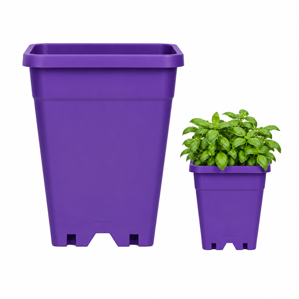 Macetero Plástico Rectangular Indoor 14 cm