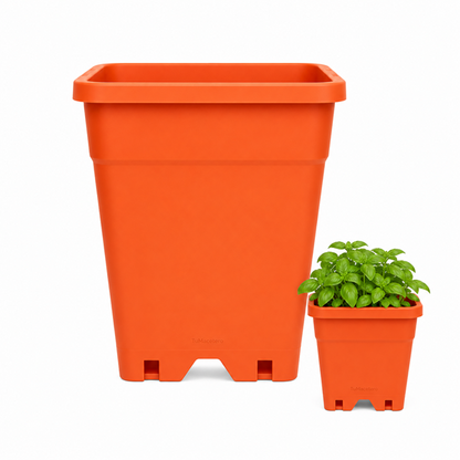 Macetero Plástico Rectangular Indoor 14 cm
