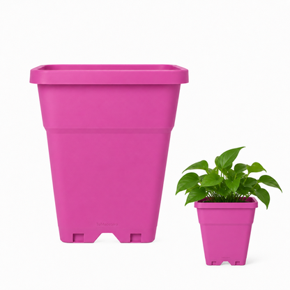 Macetero Plástico Rectangular Indoor 14 cm