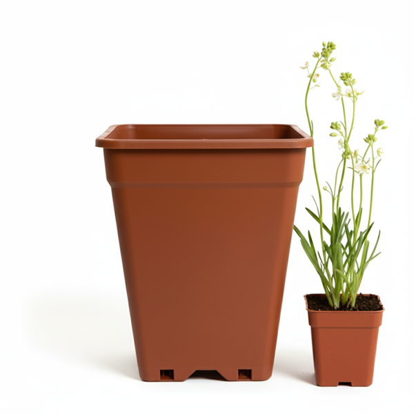 Macetero Plástico Rectangular Indoor 14 cm