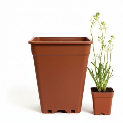 Macetero Plástico Rectangular Indoor 14 cm