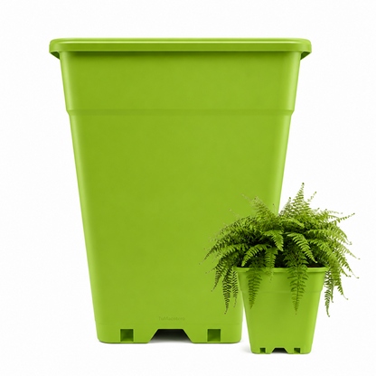 Macetero Plástico Rectangular Indoor 14 cm